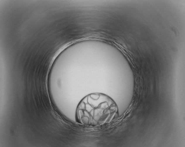 X0000114620100200910201010