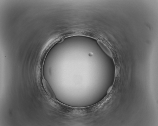 X0000114620101200910201010