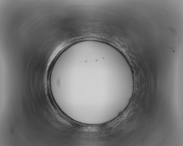 X0000114620102200910201010