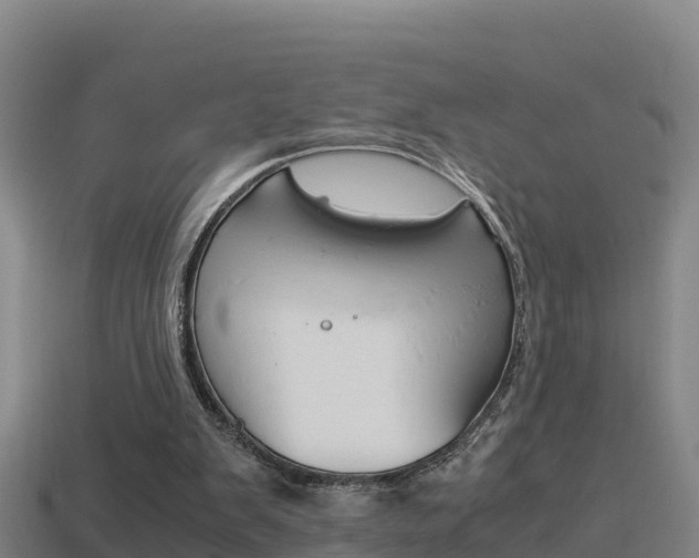 X0000114620103200910201010