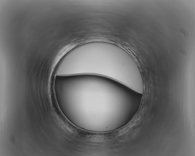 X0000114620104200910201010