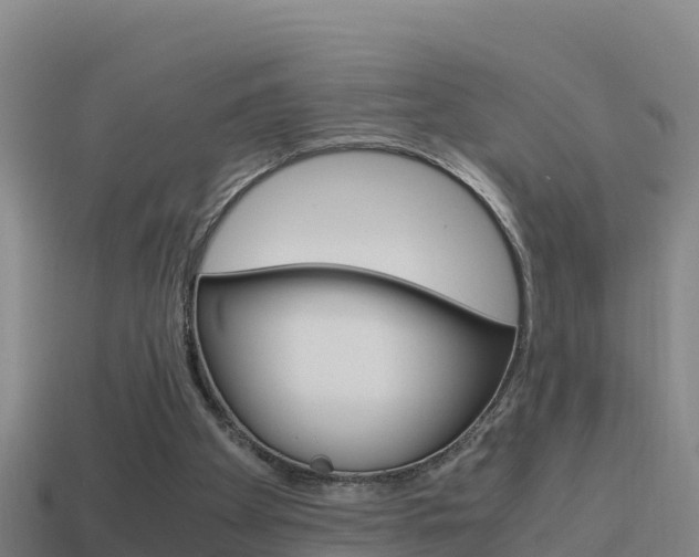 X0000114620105200910201010