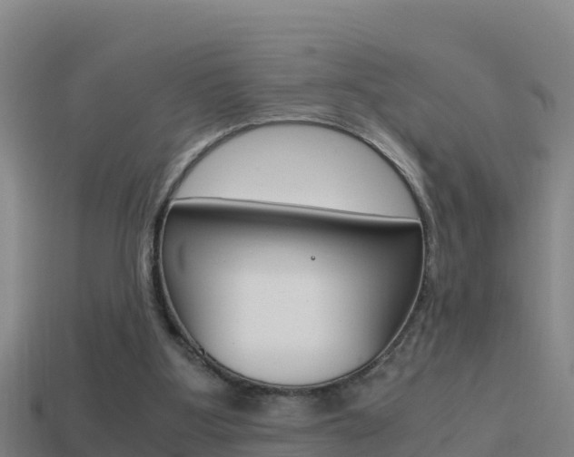X0000114620107200910201010