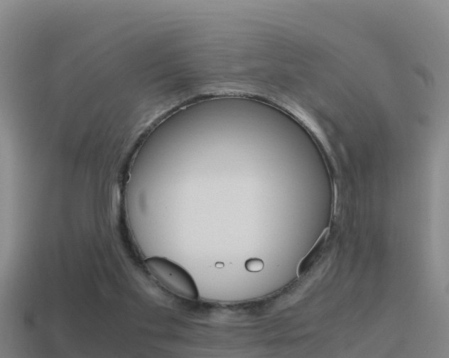 X0000114620109200910201010