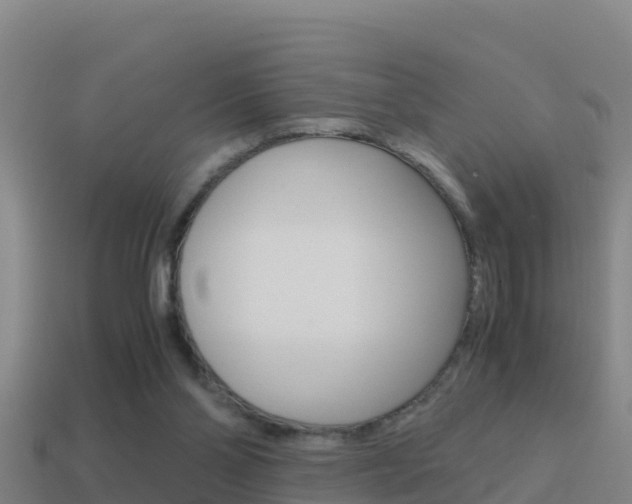 X0000114620110200910201010