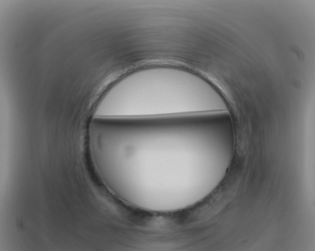 X0000114620111200910201010