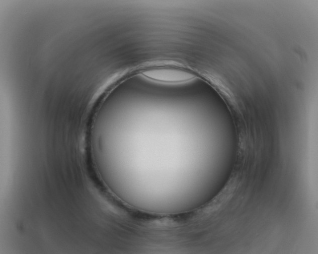 X0000114620112200910201010