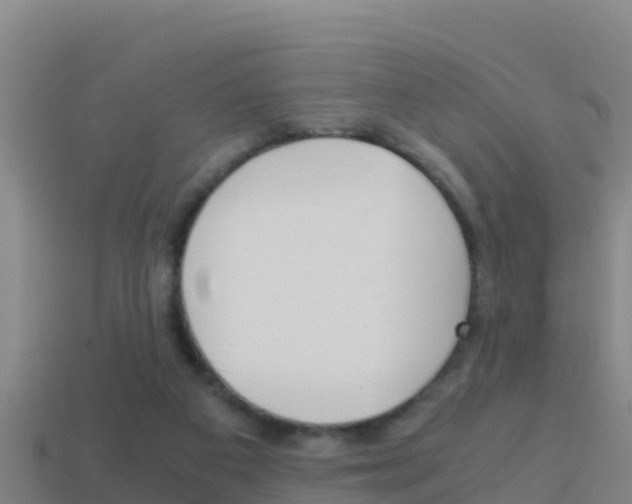 X0000114620113200910201010