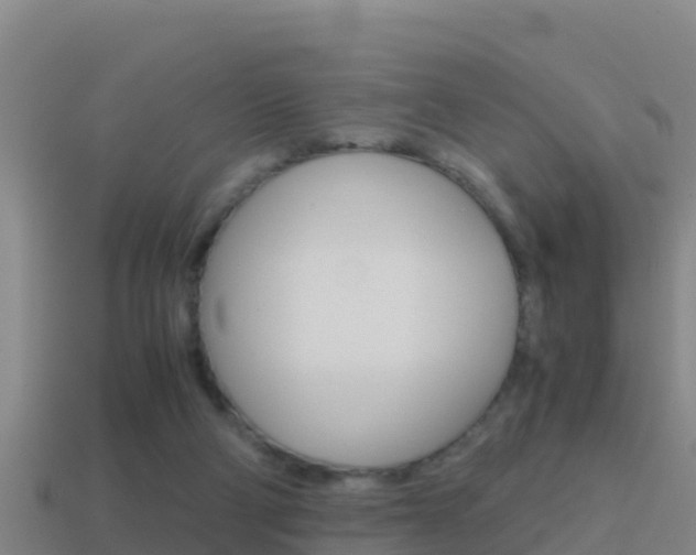 X0000114620114200910201010