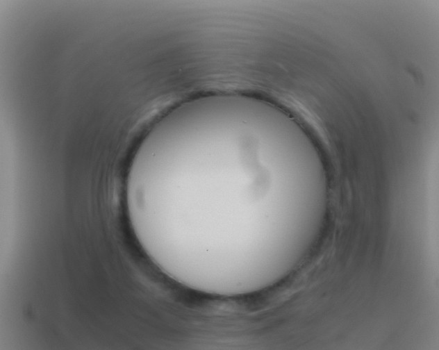 X0000114620115200910201010