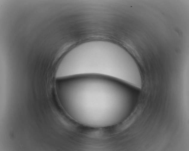 X0000114620116200910201010
