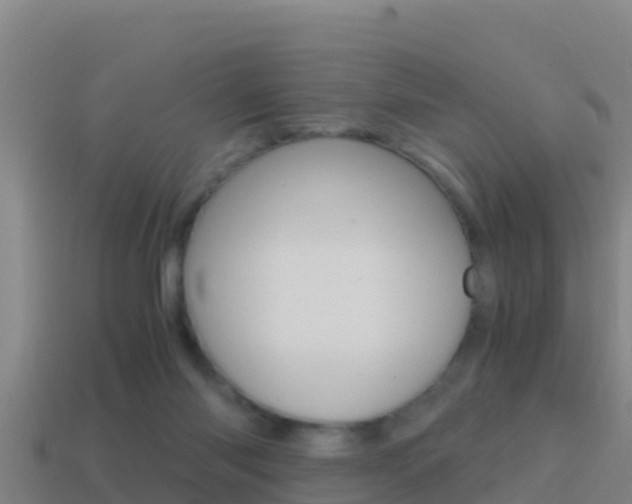 X0000114620118200910201010