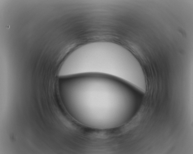X0000114620120200910201010