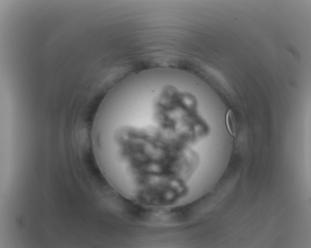 X0000114620121200910201010