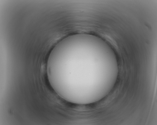 X0000114620123200910201010