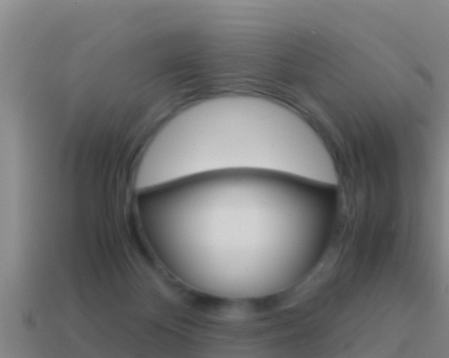 X0000114620124200910201010