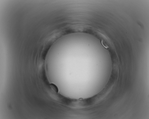 X0000114620125200910201010