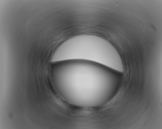 X0000114620128200910201009