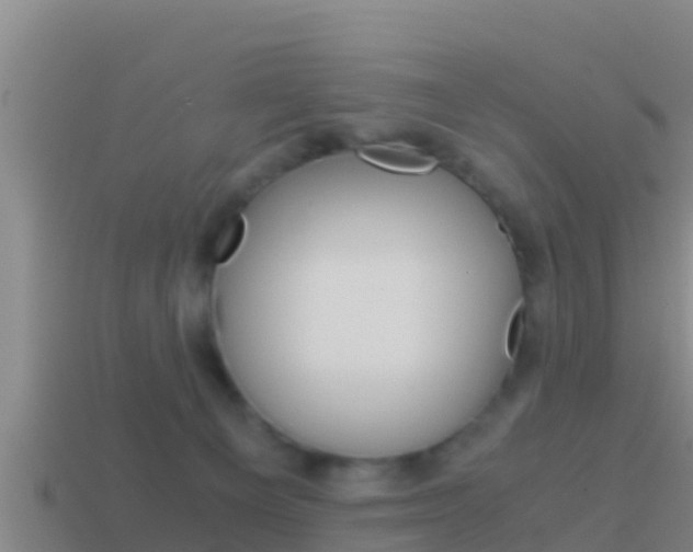 X0000114620129200910201009