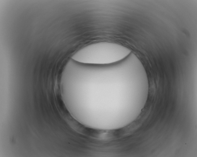 X0000114620130200910201009