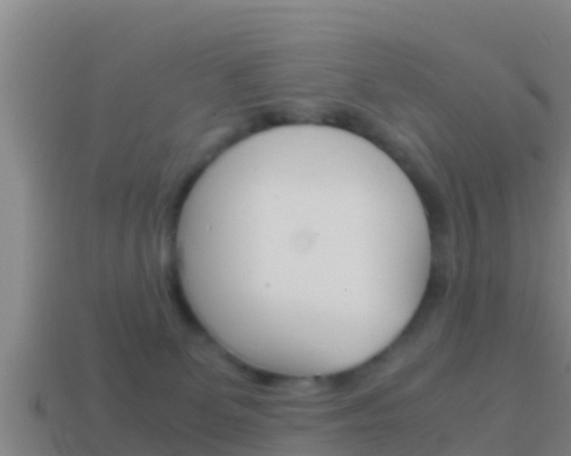 X0000114620131200910201009