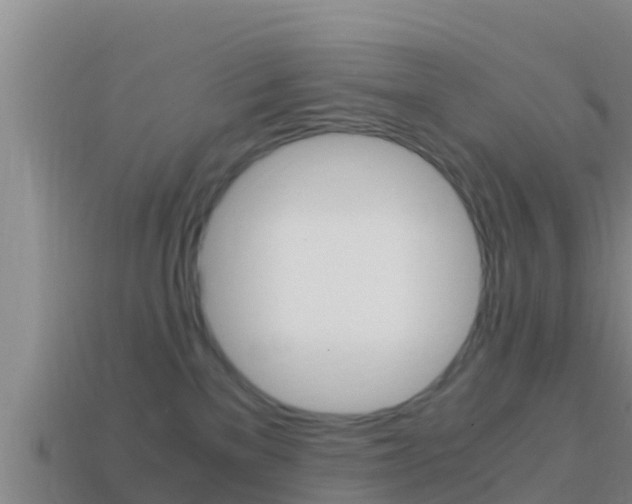 X0000114620137200910201009