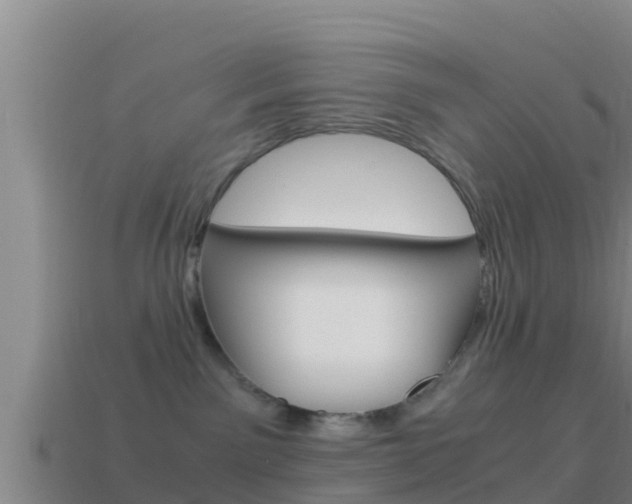 X0000114620141200910201009