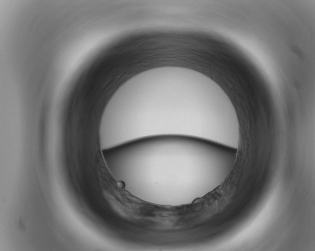 X0000114620143200910201009