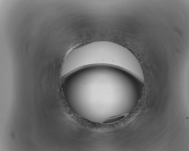 X0000114620144200910201009