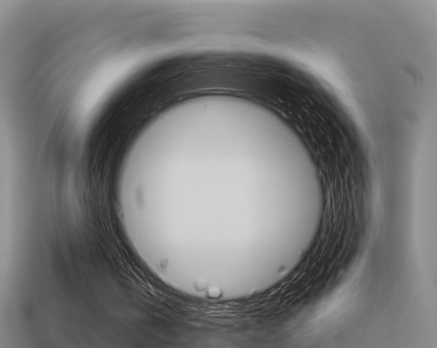 X0000114620146200910201009