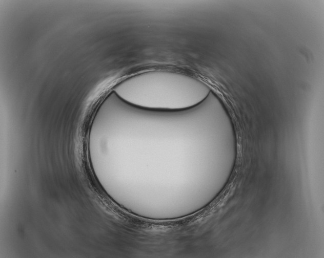 X0000114620149200910201009