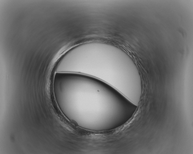 X0000114620150200910201009