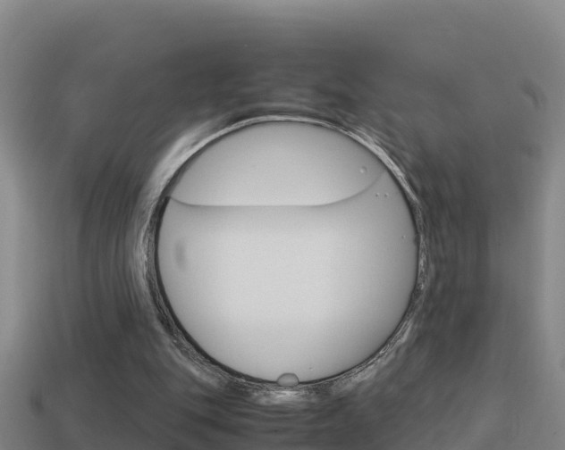 X0000114620151200910201009