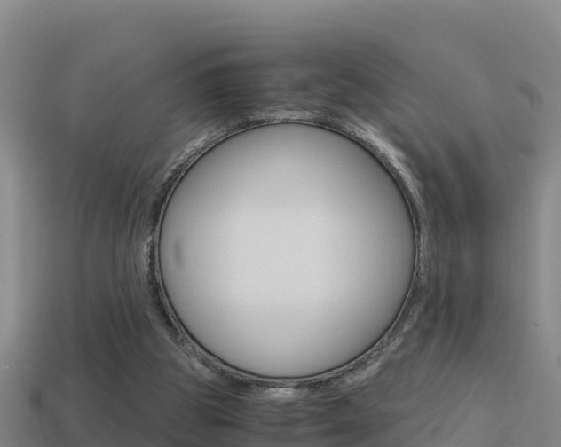 X0000114620153200910201009