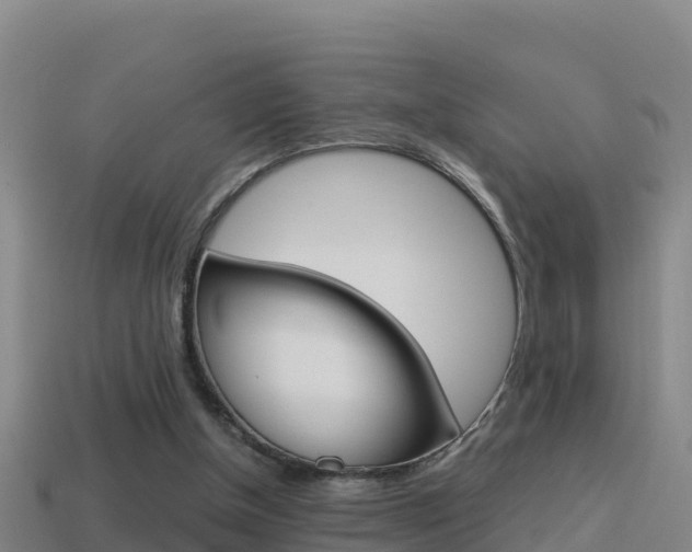 X0000114620154200910201009
