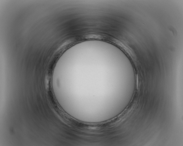 X0000114620157200910201009