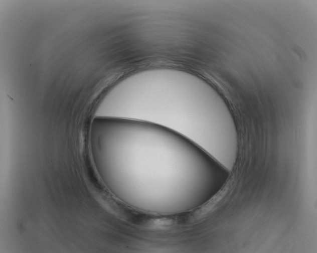 X0000114620158200910201009