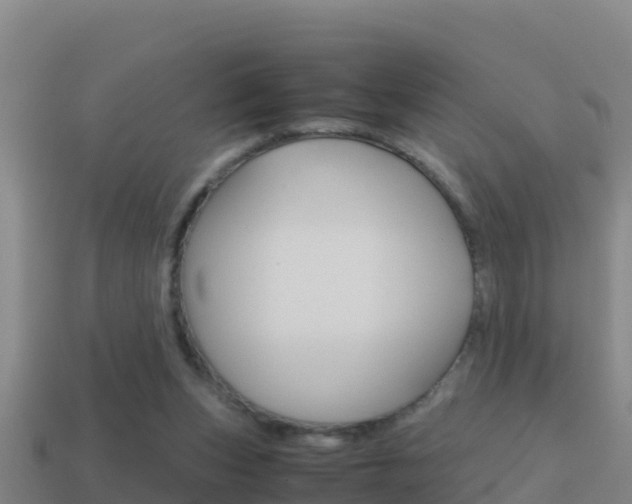 X0000114620159200910201009