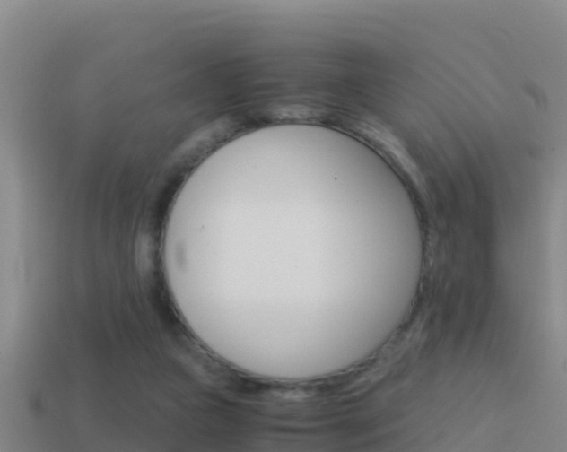 X0000114620161200910201009