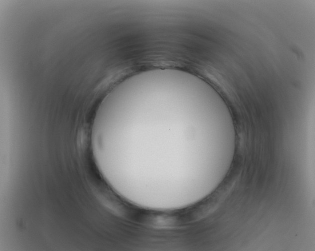 X0000114620165200910201009