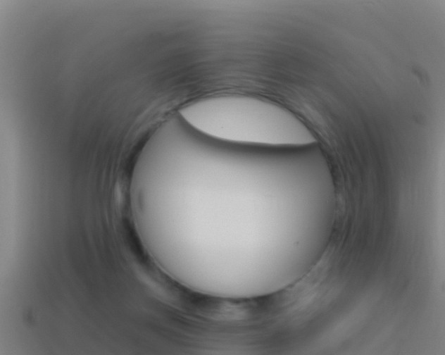 X0000114620166200910201009