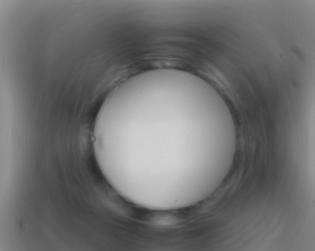 X0000114620169200910201009