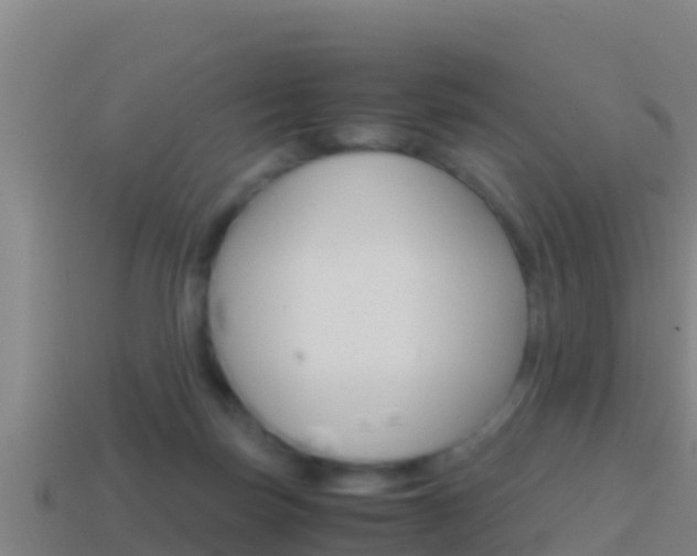 X0000114620171200910201009