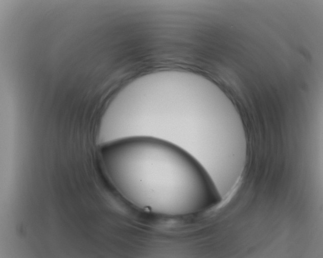 X0000114620174200910201009