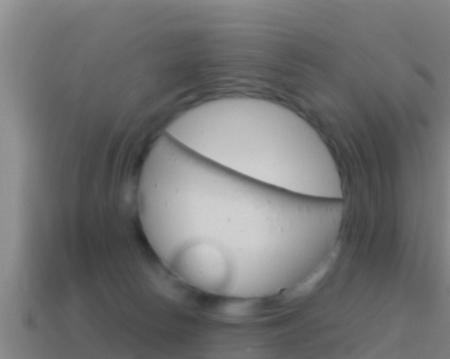 X0000114620178200910201009
