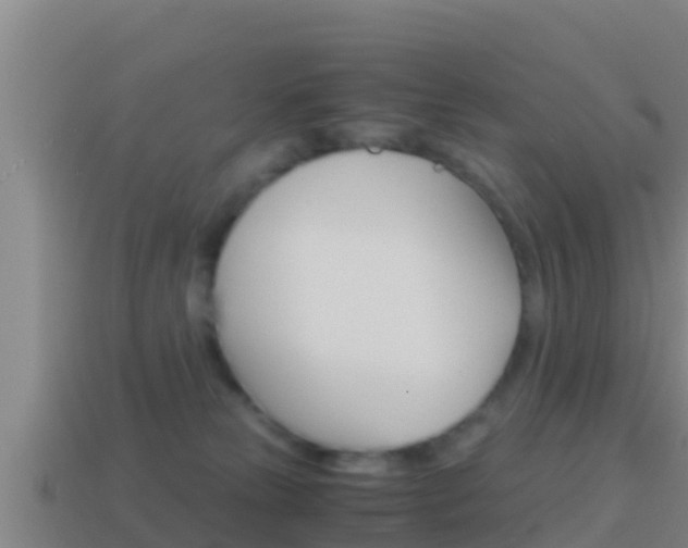 X0000114620181200910201009