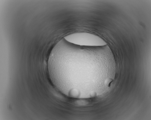 X0000114620183200910201009