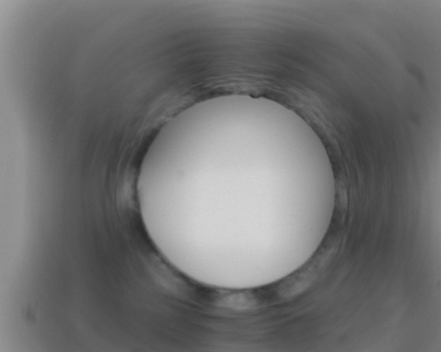 X0000114620185200910201009