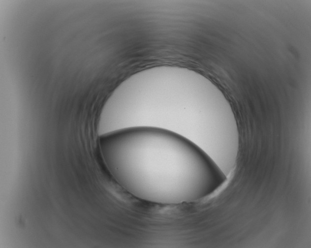 X0000114620186200910201009