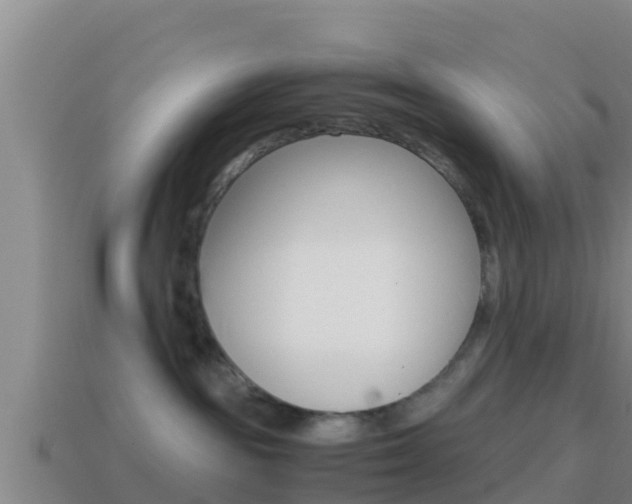 X0000114620189200910201009